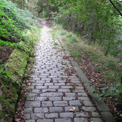 Cobbled Stone Path