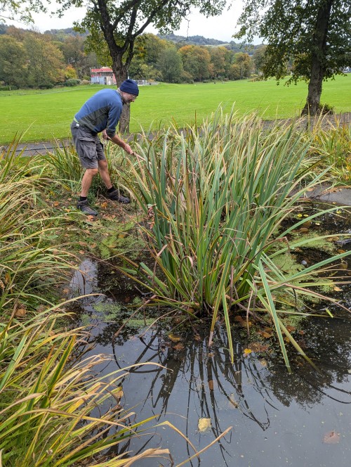 Pond clearance resize